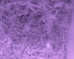 20230328-2330-nistkasten