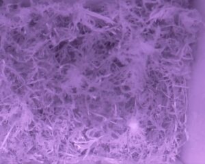 20230329-0130-nistkasten