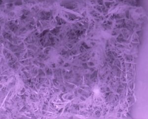 20230329-0230-nistkasten