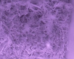 20230329-0630-nistkasten