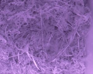 20230329-2030-nistkasten