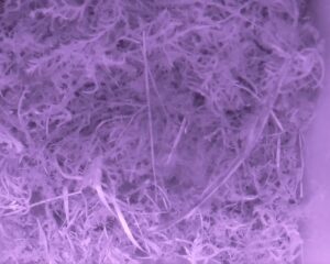 20230330-0030-nistkasten