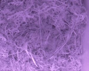 20230330-0130-nistkasten