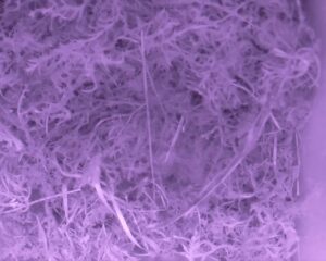 20230330-0230-nistkasten