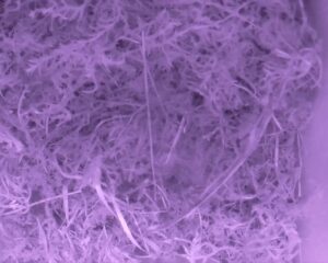 20230330-0330-nistkasten