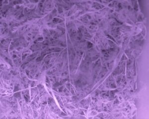 20230330-0430-nistkasten