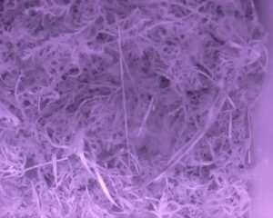20230330-0530-nistkasten