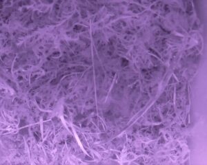 20230330-0630-nistkasten