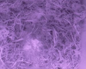 20230330-2030-nistkasten
