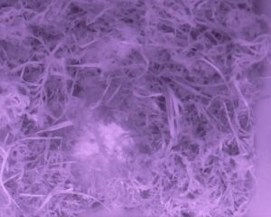 20230331-0130-nistkasten
