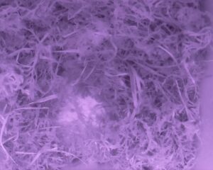 20230331-0330-nistkasten