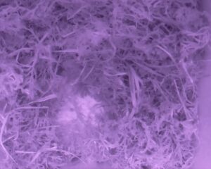 20230331-0430-nistkasten