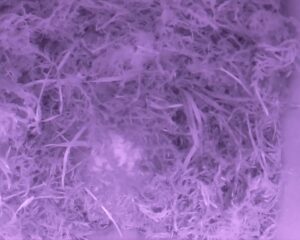 20230401-0130-nistkasten