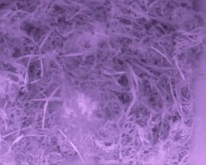 20230401-0230-nistkasten