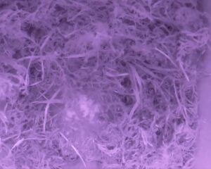 20230401-0430-nistkasten