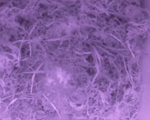 20230401-0630-nistkasten