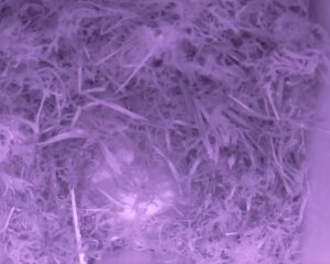 20230405-0130-nistkasten