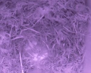 20230405-0630-nistkasten