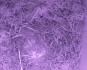 20230406-0530-nistkasten
