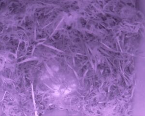 20230406-0630-nistkasten