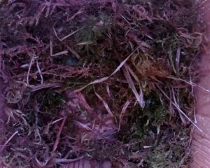 20230406-1330-nistkasten