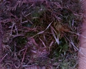 20230406-1530-nistkasten
