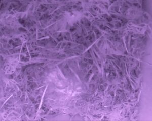 20230406-2030-nistkasten