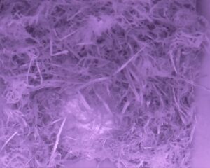 20230406-2130-nistkasten