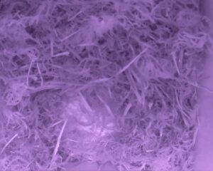 20230407-0030-nistkasten