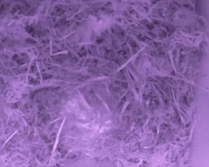 20230407-0130-nistkasten