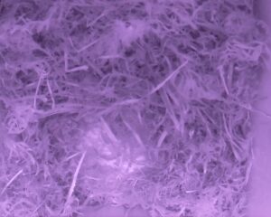 20230407-0330-nistkasten