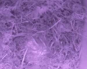 20230408-0130-nistkasten