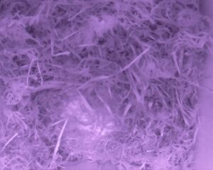 20230408-0230-nistkasten