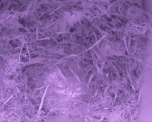 20230408-0530-nistkasten