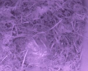 20230408-0630-nistkasten
