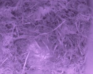 20230409-0130-nistkasten