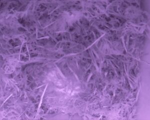 20230409-0230-nistkasten