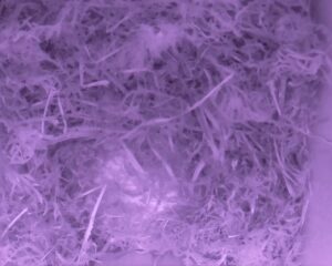 20230409-0630-nistkasten