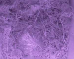 20230410-0030-nistkasten