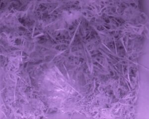 20230410-0330-nistkasten