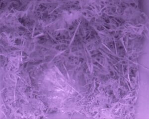 20230410-0430-nistkasten
