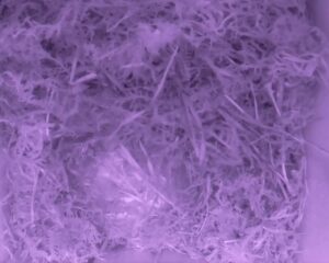 20230410-0630-nistkasten