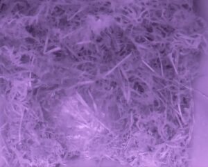 20230411-0630-nistkasten