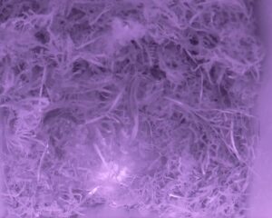 20230411-2030-nistkasten