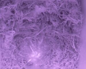 20230413-0030-nistkasten