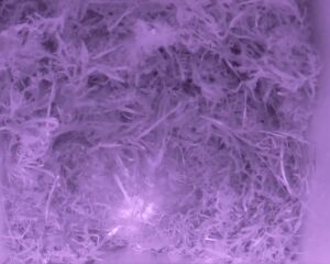 20230413-0230-nistkasten