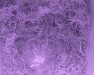 20230413-2030-nistkasten