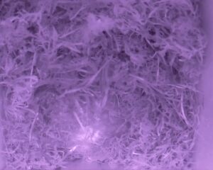 20230414-0130-nistkasten