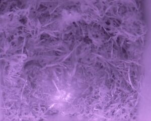 20230414-0530-nistkasten