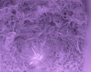 20230414-0630-nistkasten